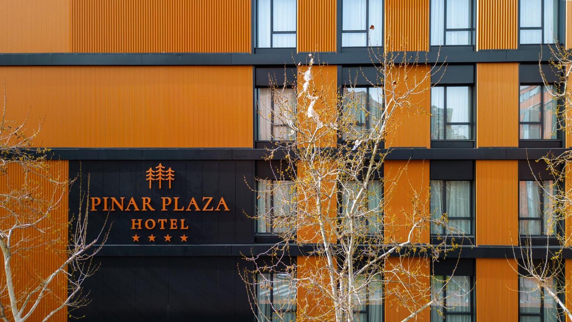 Hotel Pinar Plaza 马德里 外观 照片